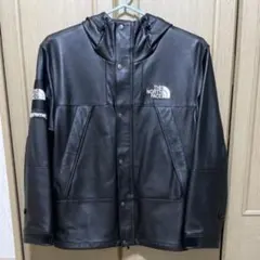 Supreme / ノースフェイスLeather Mountain Parka