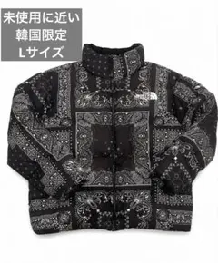 THE NORTH FACE NOVELTY LOFTY DOWN JACKET