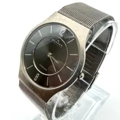 SKAGEN 腕時計 新品電池 チタニウム スライドベルト メンズ 稼働のサムネイル
