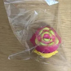 トリピカルズ4 ドラゴンフルーツ