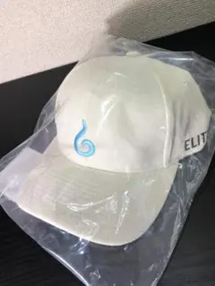 Item thumbnail for item 187a6591-3902-4a40-8dcc-3ba9aa8dcee7