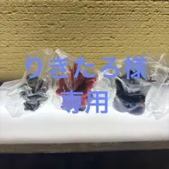 りきたろ様専用