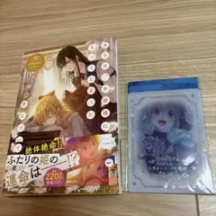 ある日、お姫様になってしまった件について　12