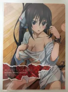 新品未使用 IS＜インフィニット・ストラトス＞ クリアファイル 篠ノ之箒