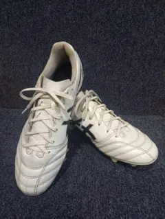 asics DS LIGHT サッカー スパイク ホワイトのサムネイル