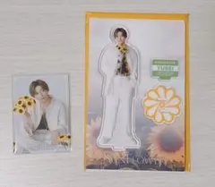 FANTASTICS SUNFLOWER 八木勇征 アクスタ フォトカード