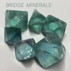 さけちゃづけ様 リクエスト 2点 まとめ商品