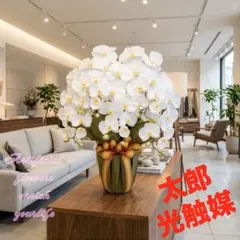光触媒　人工観葉植物　フェイクグリーン　エレガント胡蝶蘭5本立Wのサムネイル