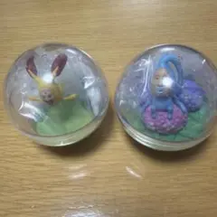 こびとづかん　カプリウムコレクション　ホトケアカバネ　アメボウシ