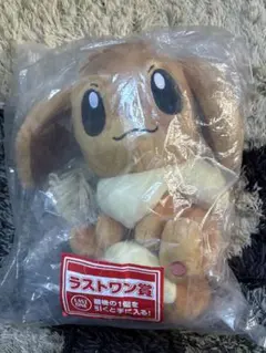 （6/14までの出品）ポケモン　一番くじ　ラストワン賞　イーブイ　ぬいぐるみ