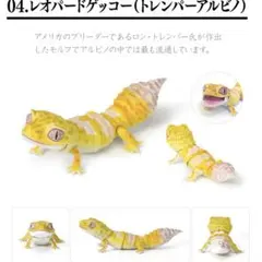 いきもの大図鑑レプティ　レオパードゲッコー（トレンパーアルビノ）　ガチャガチャ