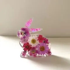 うさぎさん いちご 固まるハーバリウム オブジェ - メルカリ