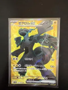 2025年最新】ゼクロム ex srの人気アイテム - メルカリ