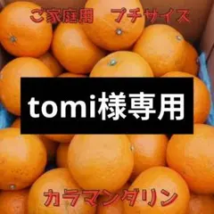 【tomi様専用】カラマンダリン　プチサイズ（2Sサイズ）　約3ｋｇ　ご家庭用