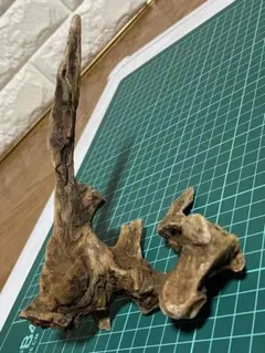 流木アート】 A24 一点物 オブジェ ハンドメイド インテリア 流木