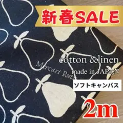 残り2点★ コットンリネン 北欧柄 2mモノトーン