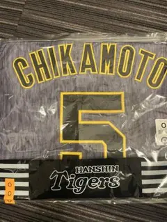 Item thumbnail for item 16d26a53-4498-4e7a-a794-e40bc4a2a638