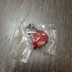 PEANUTS めじるしアクセサリー FUNNY ver. スヌーピーC