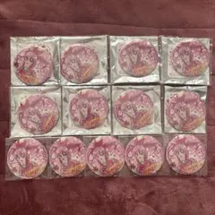わんだふるぷりきゅあ！感謝祭 缶バッジ キュアワンダフル 26点まとめ