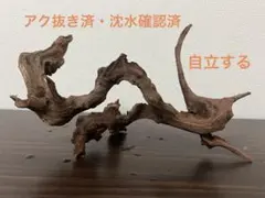 2026年最新】マシンガンウッドの人気アイテム - メルカリ