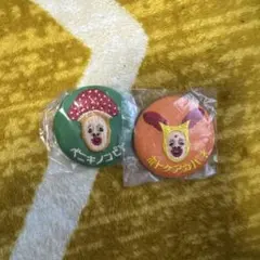 ベニキノコビトとホトケアカバネセット