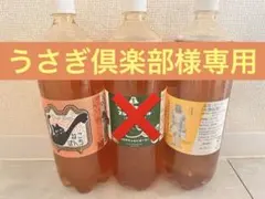 ドリームビア クラフトビール 3本セット 1500ml ストロー炭酸付き