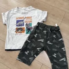 男の子　恐竜　半袖Tシャツ・ハーフパンツ　セット　まとめ売り　120 130