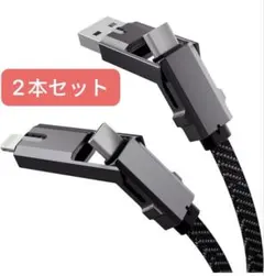 2本セット　USB A/タイプc to USB C/Lightning ケーブル