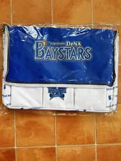 ⭐︎ Yokohama DeNA BayStars 保冷バッグ ⭐︎