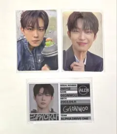 ALD1 ALPHA DRIVE ONE トレカ　ゴヌ