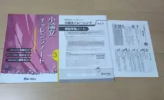 Item thumbnail for item 49e9ade1-59fe-4a7a-ac3d-dd45ea328820