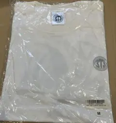 Item thumbnail for item 3bf188ab-0f89-4058-9951-68969ae4cc1e