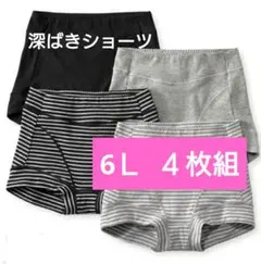 【ニッセン】レギュラーショーツ 深ばきショーツ ４枚組 6Ｌ