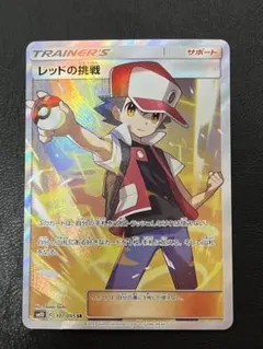 ナンジャモーにょ様 リクエスト 2点 まとめ商品