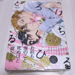 2026年最新】高崎ぼすこ とろけるくちびるの人気アイテム - メルカリ