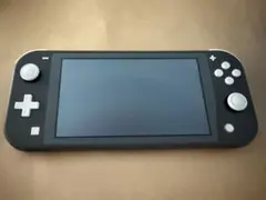 Nintendo Switch Lite グレー ケース付き