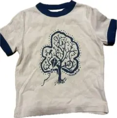 Item thumbnail for item c009b693-f846-4e80-a743-6d8b8a0e81c8