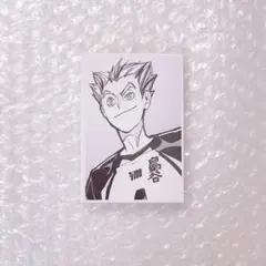 ハイキュー 10th クロニクル 木兎光太郎 フォトカード