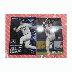 プロ野球チップス 東京ヤクルトスワローズ