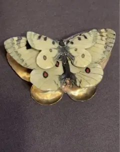 テンニョハゴロモ 標本 蛾 オオミズアオ オナガミズアオ Parnassius テンニョハゴロモ 標本 蛾 オオミズアオ オナガミズアオ Parnassius