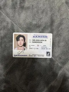 ENHYPEN/THE:SIN VANISH IDトレカ ソンフン