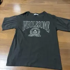 WHOLESOME カレッジロゴ プリントTシャツ