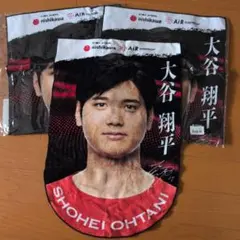 Item thumbnail for item f49b4b4e-789b-4dba-854a-6796d9914bd3