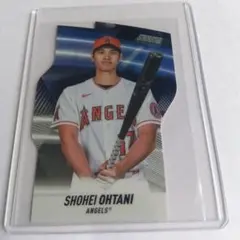 SEED様 リクエスト 2点 まとめ商品