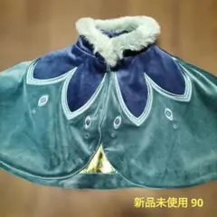 アナ雪 ケープ ポンチョ アナ 戴冠式 リトシー 90
