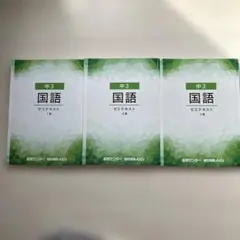 Item thumbnail for item 69324b28-5cbe-46b9-8252-30d97139764b