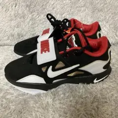 新品　ナイキ　プライム　93 EP NIKE レブロン　 LEBRON 21