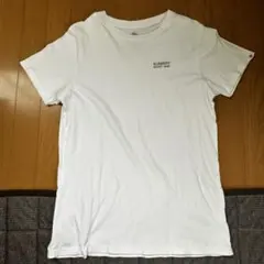 ELEMENT Tシャツ Mサイズ ホワイト 1992 バックプリント