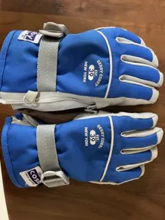 Item thumbnail for item 09d96673-cbd7-40a1-a4d9-4a380754ed38