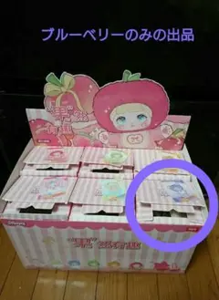 【ビニール未開封】 Nommi フルーツシリーズ(ブルーベリー)箱付き